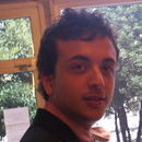 freedragon di Treviso