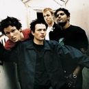 andre-sum41 di Varese