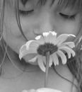 _dolcedolce_ di Trento