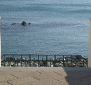 ippo70 di Genova