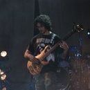 Wild-child di Potenza