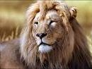 biglion di Milano