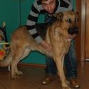 miky11489 di Prato