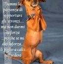 Moonbeam di Modena