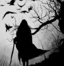 Il profilo di LUNA_