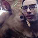 maffo di Verona